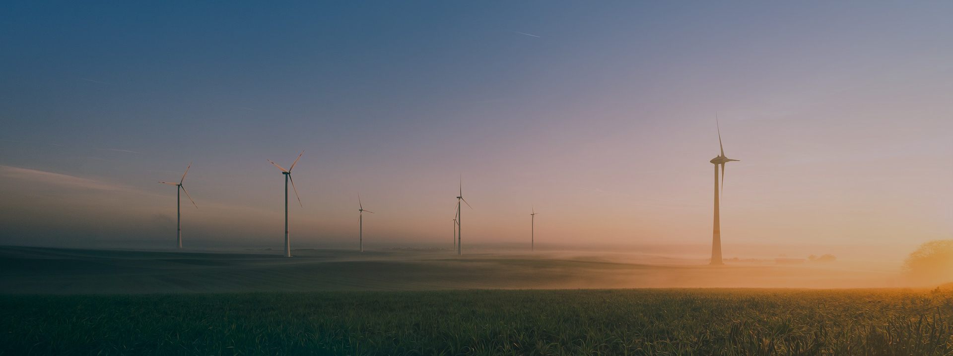 mansion88������(�й���)�ٷ���վ