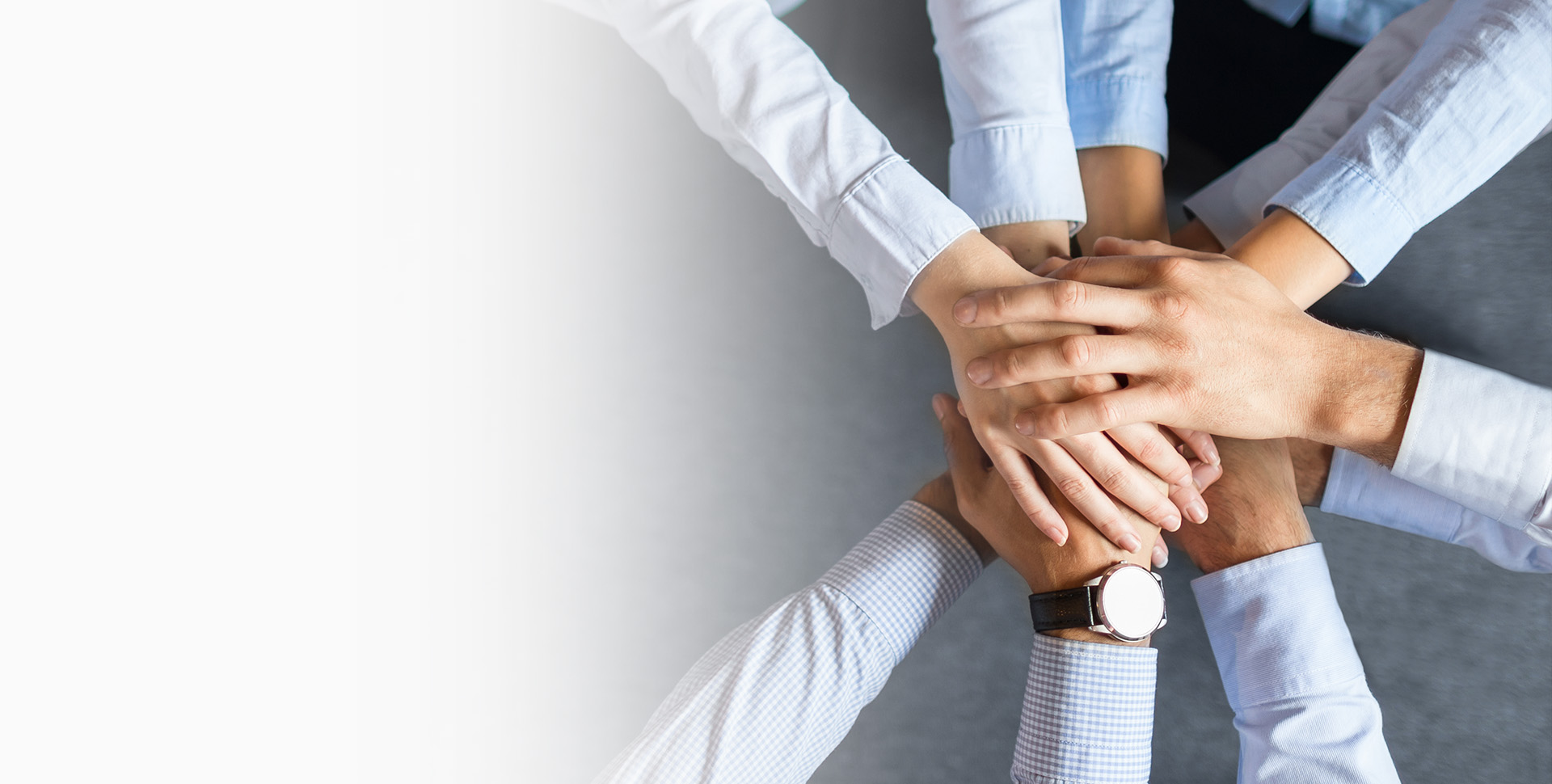 mansion88������(�й���)�ٷ���վ