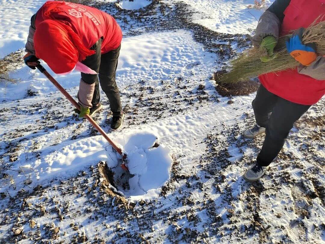 mansion88�������չ�������Ŀ��������������̬������������������ɫδ����