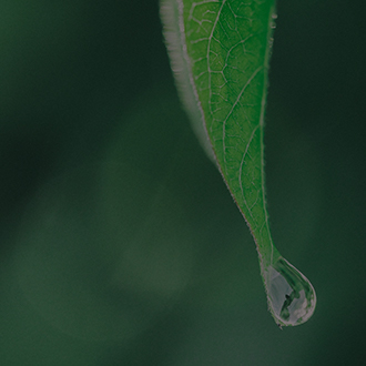 mansion88������(�й���)�ٷ���վ