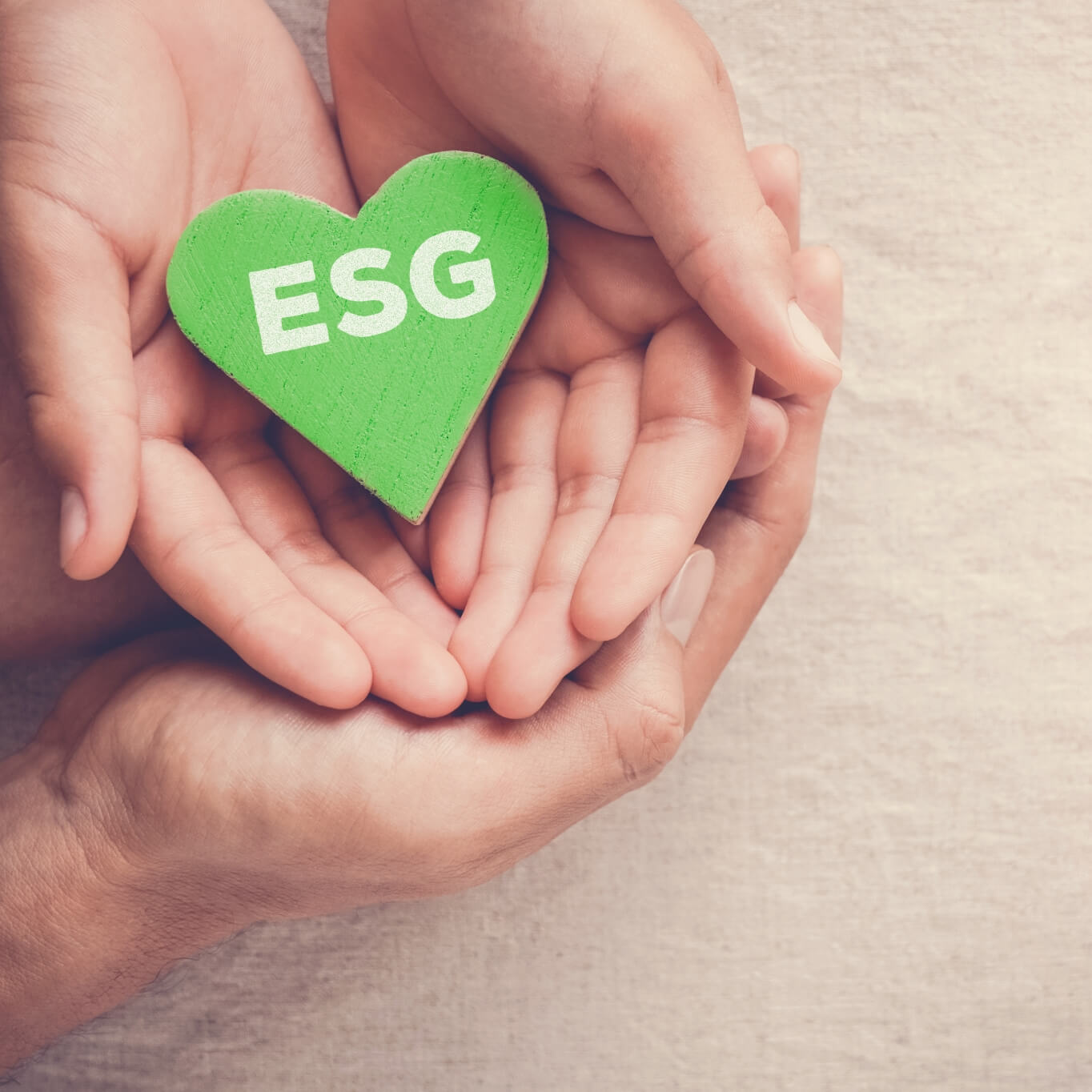 mansion88������(�й���)�ٷ���վ