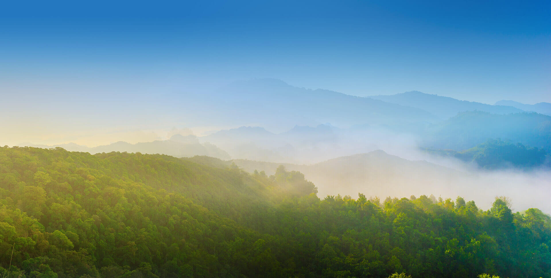 mansion88������(�й���)�ٷ���վ